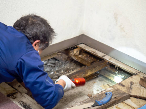 Water Damage Restoration in Altamont, KS