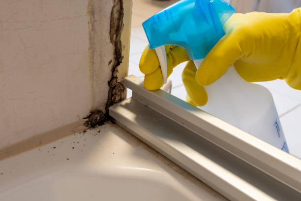 Best Mold Remediation  in Altamont, KS