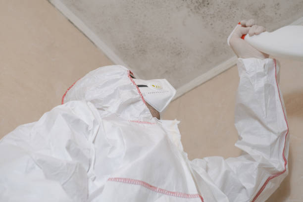 Best Water Damage Restoration  in Altamont, KS